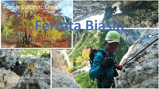 Ferrata Biasin nei colori autunnali Piccole Dolomiti Cima Tibet [upl. by Pauli457]