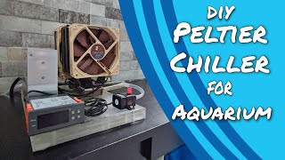 DIY Thermoelectric Peltier Chiller Tutorial [upl. by Kare]