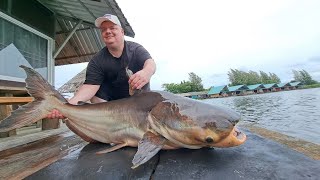 Mekong Catfish Fishing Thailand 2024 BKKGUY [upl. by Memberg]