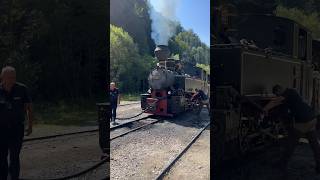 Mocanita Viseul de Sus  Romania train shorts short travel viral mrbeast beast [upl. by Eleik]