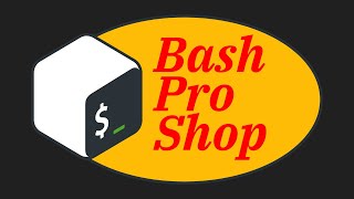 Become a bash scripting pro  full course [upl. by Nalaf]