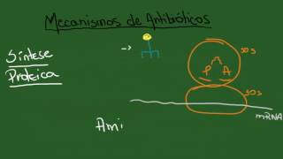 Mecanismos de Antibióticos e Resistência Bacteriana  Resumo  Microbiologia [upl. by Monk]