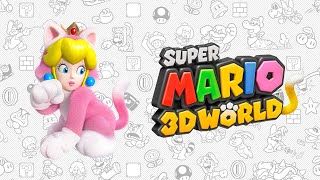 CORSO Tyler The Creator  Super Mario 3D World [upl. by Feola]