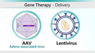 Hemophilia AAV Gene Therapy Animation [upl. by Delila895]