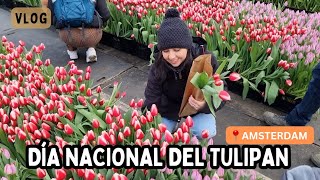 🇳🇱 TULIP DAY🌷  we saw Dj Hardwell  We have so much snow it looks magical [upl. by Swane]