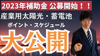 【2023年最新】産業用太陽光・蓄電池に関する補助金の詳細を大公開 [upl. by Maples]