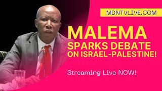 Julius Malema Clashes with Judge about IsraelPalestine [upl. by Sirraf]