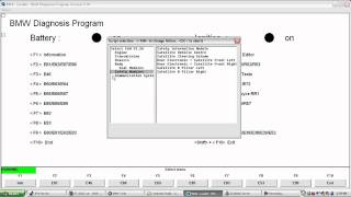 INPA demonstration on E60 [upl. by Kurtzman]