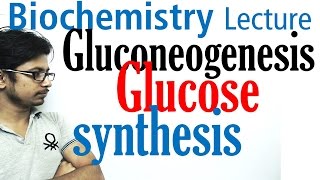 Gluconeogenesis pathway biochemistry [upl. by Nidak]