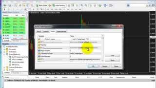 IceFX TraderAgent  How to install with installer [upl. by Niletac]