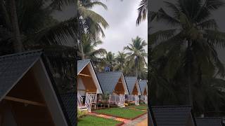 Best stay at Agonda Palm Beach Resort Goa [upl. by Honeyman846]