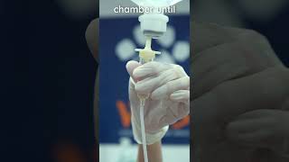 How to set up an IV line for a canine patient veterinary clinicalskills vetacademy shorts [upl. by Leff]