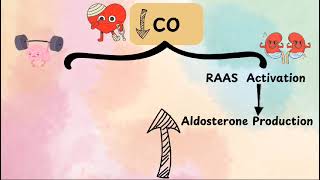 compensatory mechanisms in heart failure [upl. by Warring]