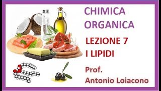 CHIMICA ORGANICA  Lezione 7  I Lipidi [upl. by Yelekreb396]