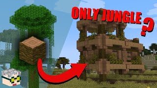 I Made A House With ONLY Jungle Wood   Building Challenges  Minecraft [upl. by Abrahams]