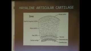 Normal articular cartilage how does it suits its function  D Mohamed Tag [upl. by Berriman]