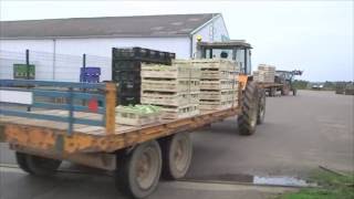 Reportage  Agriculteurs entre passion et colère [upl. by Raf]