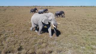 BOTSWANA TOURISM VIDEO [upl. by Boutis]