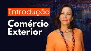 QUAL A DIFERENÇA ENTRE IMPORTAÇÃO E EXPORTAÇÃO  Kauana Pacheco [upl. by Ydnolem]