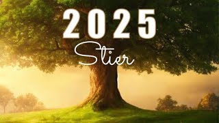 STIER 2025🔮Große Jahresvorschau [upl. by Christianna]