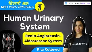 Phoenix 20 Biology Most Important Video for NEET 2025  Udaan [upl. by Migeon]