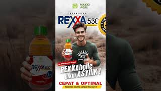 maxxiagri  herbisida REXXA 530SL REXXAholic bikin ASYIIIK limboto gorontalo shorts [upl. by Ennoryt]