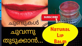 Home made Natural Lip Balm for soft and Pink lips Beetroot Lip Balm [upl. by Drahser]