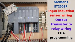 Siemens ET200SP Input induction sensor wiring and Output transistor to relay wiring TIA programming [upl. by Atlante]