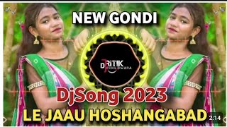 ले जाऊं होशंगाबाद  Le Jaun Hoshangabad  Dj Remix Song [upl. by Nakah]