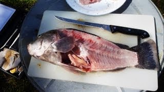 How to Fillet a Fish quick and easy way [upl. by Ariajay276]