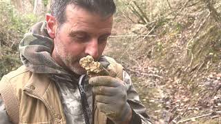 PART 2 Lagotto Romagnolo tartufo bianco White truffle with Lagotto Romagnolo [upl. by Kowal639]