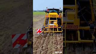 Claydon Hybrid planting corn agriculture farming claas corn [upl. by Edelsten591]