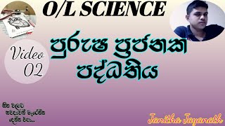 පුරුෂ ප්‍රජනක පද්ධතිය  OL SCIENCE  video 02 [upl. by Louls]