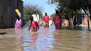 About 19M impacted by floods in Chad as all 23 provinces hit [upl. by Nanam720]