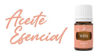 ACEITE ESENCIAL DE OCOTEA Excelente apoyo para la DIABETES [upl. by Burtie575]