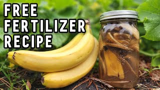 Make Banana peel Fertilizer for any plants very easy [upl. by Hephzipa]