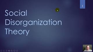 Social Disorganization Theory [upl. by Ennasirk]