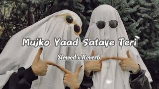 Mujko Yaad Sataye Teri Slowed x Reverb faltumusical7x [upl. by Bhayani]