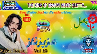 Singer Aziz Naiz Voleem 30  01  Gift 2024  Sabir production [upl. by Assillam20]