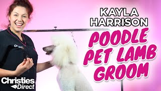 Kayla Harrison  How to do a Pet Lamb Groom on a Poodle [upl. by Yelsgnik357]