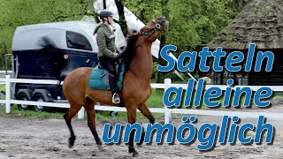 Sattelzwang Steigen beim aufsatteln und Angst vor der Aufstiegshilfe  Fall Schokie Teil 12 [upl. by Lyudmila312]