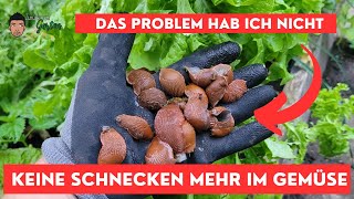 Gemüsegarten ohne Schnecken  So geht das [upl. by Albertson]