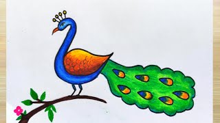 How to draw a peacock  Peacock drawing step by step  How to draw peacock with colour easy way [upl. by Nylirak]