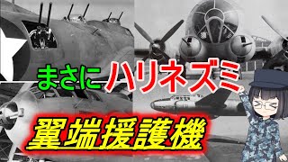 【ゆっくり解説】翼端護衛機とは？機銃をこれでもかと積んだ大型機 [upl. by Hallam239]