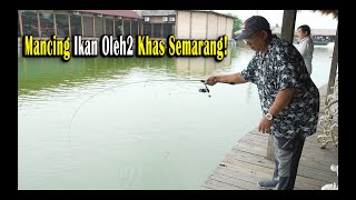 Mancing Ikan Oleh2 Khas Semarang [upl. by Dyun]