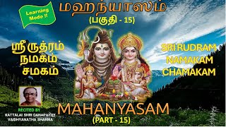 MAHANYASAM  PART  15  Rudram Chamakam Namakam  Learning Mode [upl. by Inat]