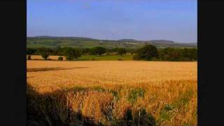 Cuttin the Corn in Creeslough  Bridie Gallagher [upl. by Trebornhoj318]