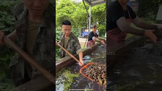 Amazing Chinese Water Fruit shortsvideo [upl. by Xet]