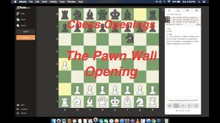 Chess Openings The Pawn Wall [upl. by Eenobe]