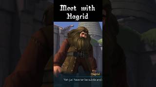 Hagrid the giant of Hogwarts  SRP ASMR  gaming asmr [upl. by Marjorie909]